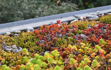 the cost of Greetham green roof installation