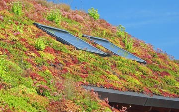 Greetham living roof systems