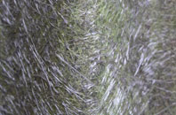 Greetham fibreglass roof work