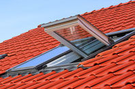 Greetham roof window